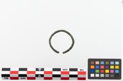 Foto von Bronzering (NHMW-PRAE-023824)